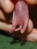 DSC_0095~4.jpg