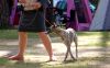DSC_0096~13.jpg