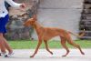 DSC_0097~6.jpg