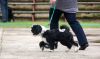 Filename=DSC_0098~14.jpg
Filesize=127KiB
Dimensions=1200x713
Date added=Jul 02, 2017 DSC_0098~14.jpg