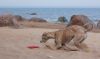 DSC_0098~16.jpg