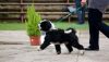 Filename=DSC_0099~12.jpg
Filesize=125KiB
Dimensions=1200x695
Date added=Jul 02, 2017 DSC_0099~12.jpg