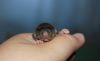 DSC_0099~6.jpg