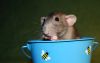 DSC_0102~10.jpg