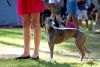 DSC_0102~15.jpg