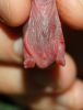 DSC_0102~4.jpg