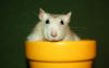 DSC_0102~8.jpg