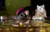 DSC_0103~13.jpg