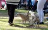 DSC_0104~15.jpg