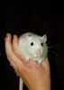 DSC_0104~3.jpg
