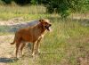 DSC_0104~5.jpg