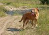 Filename=DSC_0107~5.jpg
Filesize=281KiB
Dimensions=1200x865
Date added=Jul 29, 2012 DSC_0107~5.jpg