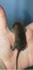 DSC_0107~6.jpg