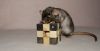 DSC_0110~5.jpg