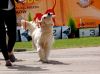 DSC_0112~9.jpg