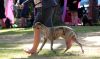 DSC_0114~10.jpg