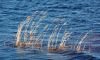 DSC_0114~2.jpg