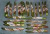 DSC_0114~4.jpg