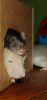 DSC_0115~0.jpg
