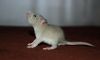 DSC_0115~6.jpg