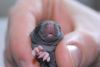 DSC_0116~10.jpg