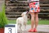 Filename=DSC_0117~7.jpg
Filesize=127KiB
Dimensions=1200x838
Date added=Jul 02, 2017 DSC_0117~7.jpg
