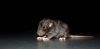 DSC_0118~15.jpg