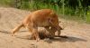 DSC_0119~11.jpg