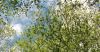DSC_0119~16.jpg