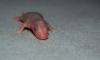 DSC_0119~6.jpg