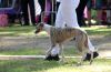 DSC_0120~10.jpg