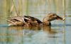 DSC_0120~5.jpg