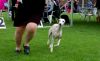DSC_0121~12.jpg