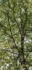 DSC_0121~13.jpg