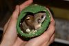 DSC_0121~7.jpg
