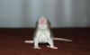DSC_0122~7.jpg