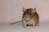 DSC_0123~0.jpg
