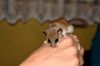 DSC_0123~11.jpg