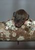 DSC_0123~5.jpg