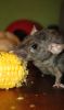 DSC_0124.jpg
