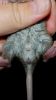 DSC_0124~5.jpg