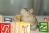 DSC_0124~7.jpg