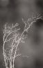 DSC_0125~15.jpg