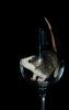 DSC_0125~6.jpg