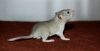 DSC_0125~7.jpg