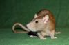 DSC_0127~10.jpg