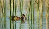 DSC_0127~4.jpg