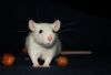DSC_0128~10.jpg