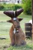 DSC_0128~14.jpg