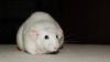 DSC_0128~3.jpg